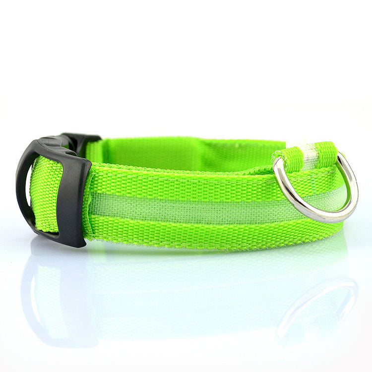 LED Dog Collar - USB Rechargeable | Safety Night Light